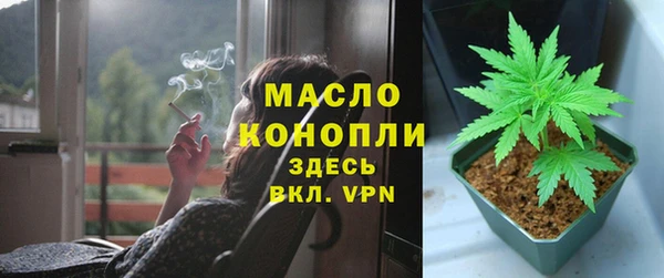 индика Кинешма