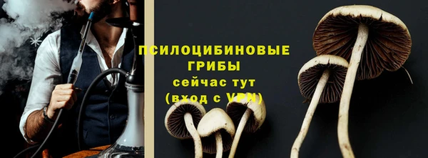 индика Кинешма