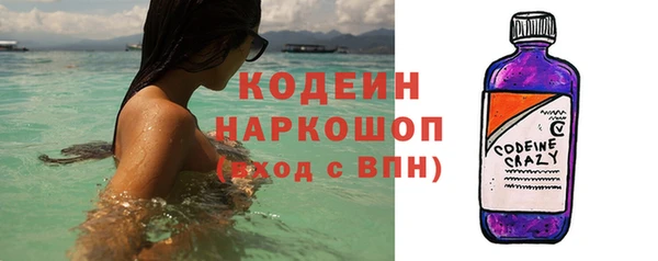 индика Кинешма