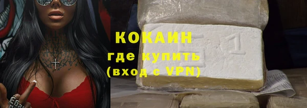 индика Кинешма