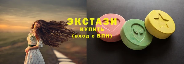 индика Кинешма