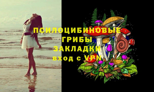 индика Кинешма
