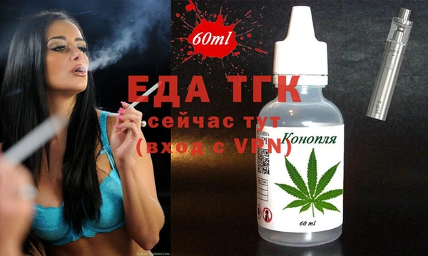 индика Кинешма