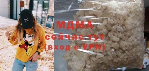 индика Кинешма