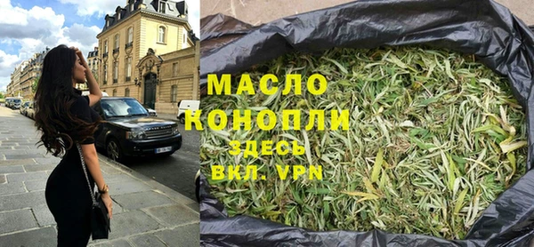 индика Кинешма