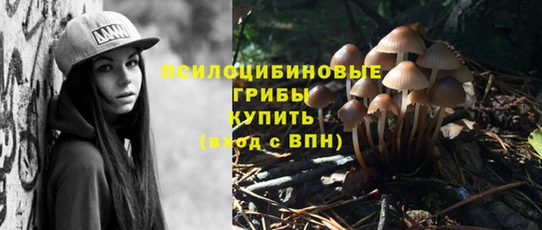 индика Кинешма