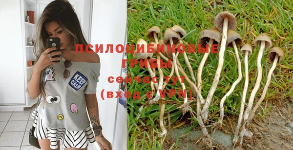 бошки Киреевск